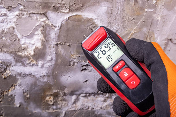 Best Toxic Mold Removal  in River Road, WA