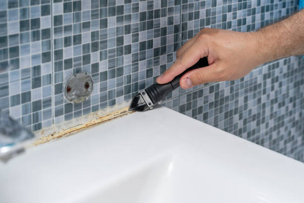 Best Office Mold Removal Services  in River Road, WA
