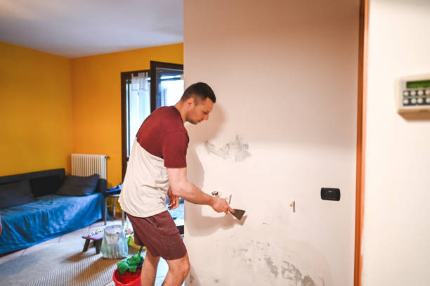 Mold Testing and Removal in River Road, WA
