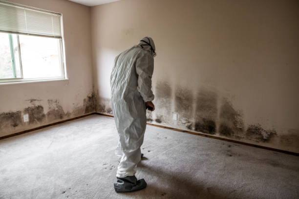 Best Emergency Mold Removal  in River Road, WA