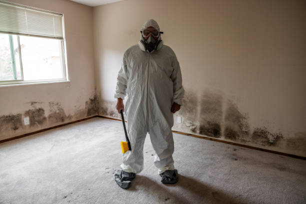 Best Mold Remediation Services  in River Road, WA